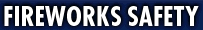 www.fireworksafety.com